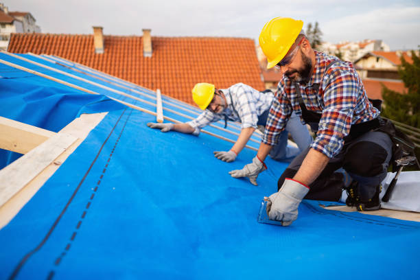 Best Storm Damage Roof Repair  in Morgantown, MS